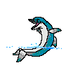 Animated Dolphin