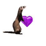 Animated Ferret